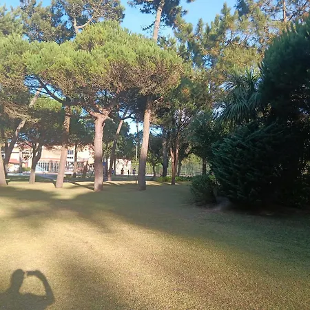 Aldeamento Lirisol Ofir E Apulia